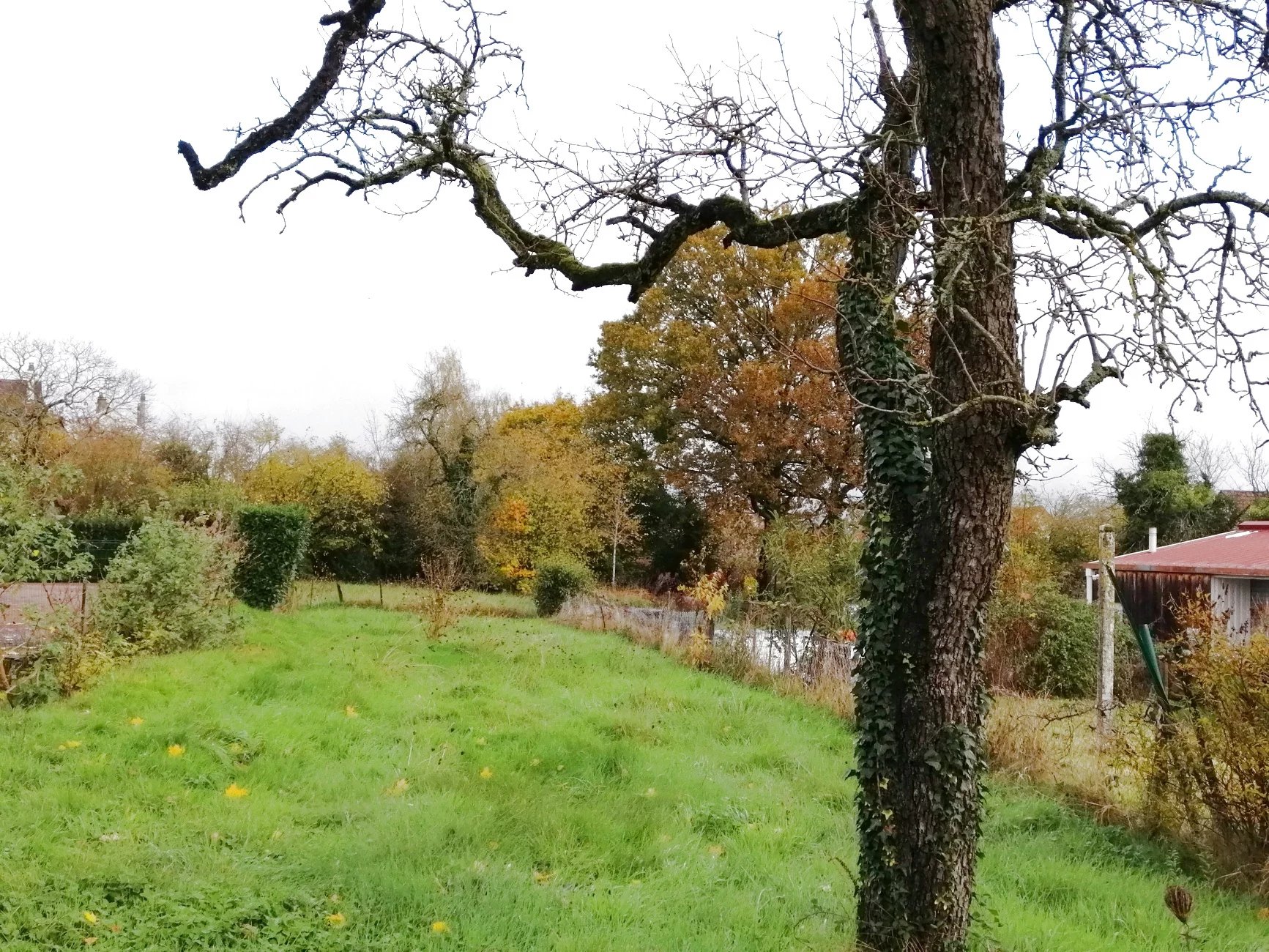 Vente Terrain Nevers