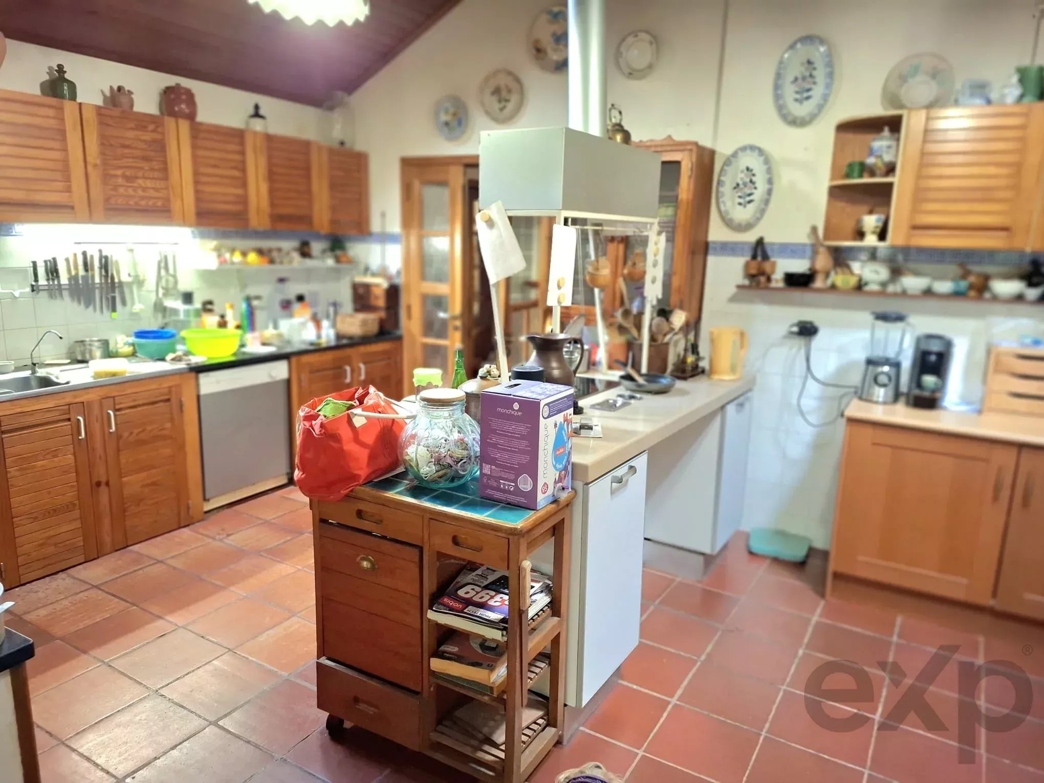 Sintra , Colares - Small farm with dream house 86819090 image 17