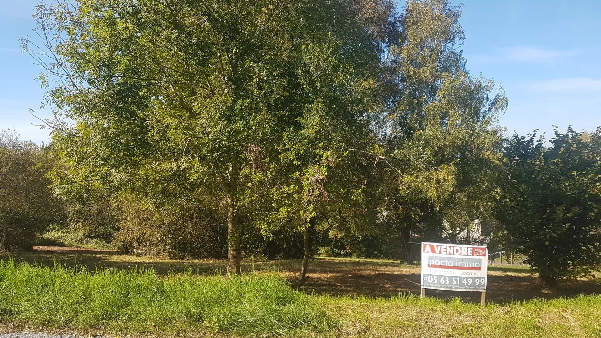 Agence immobilière de 