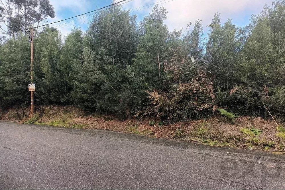 Lote de terreno para construção em Arcozelo