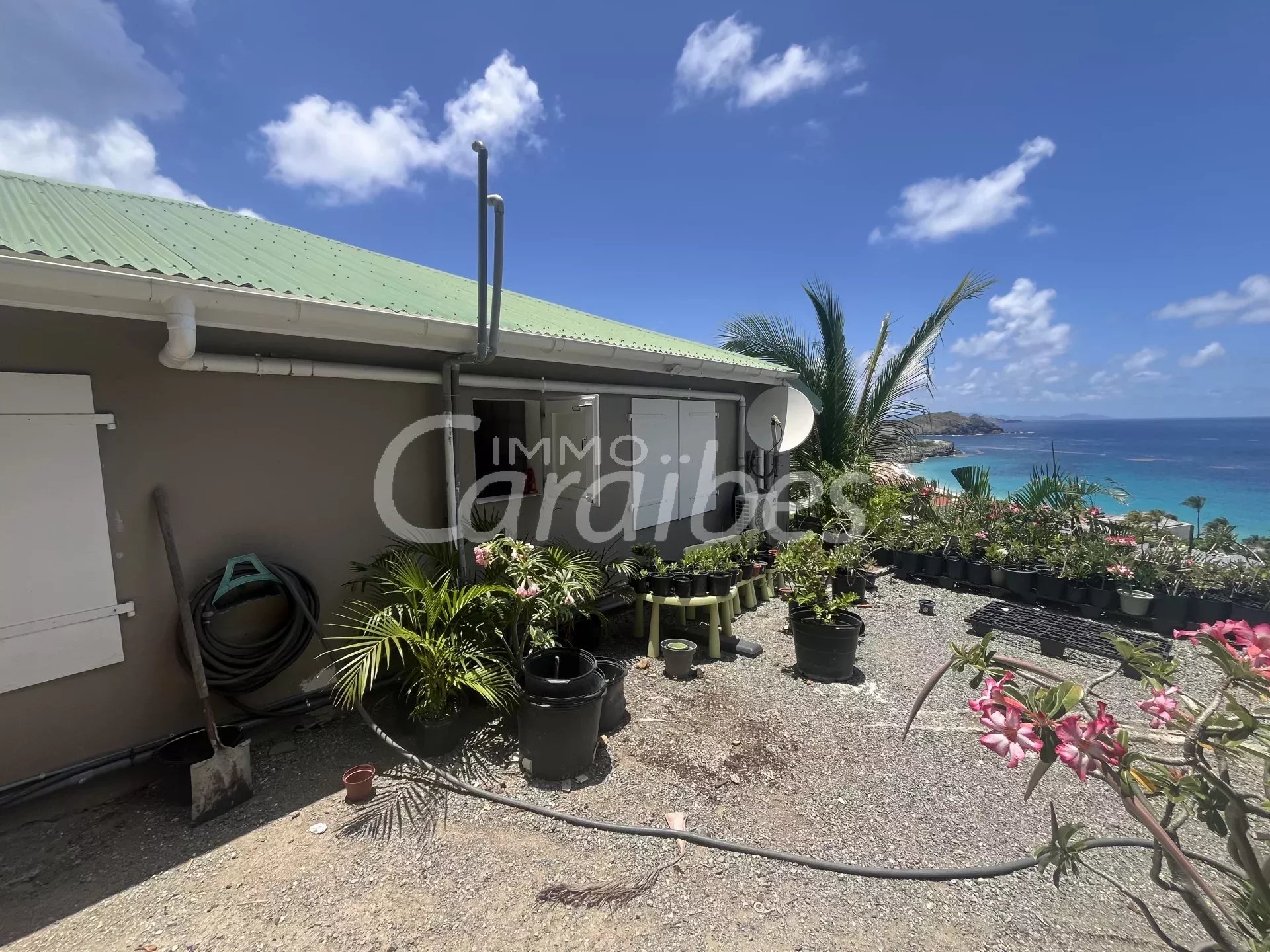 Agence immobilière de Immo Caraïbes
