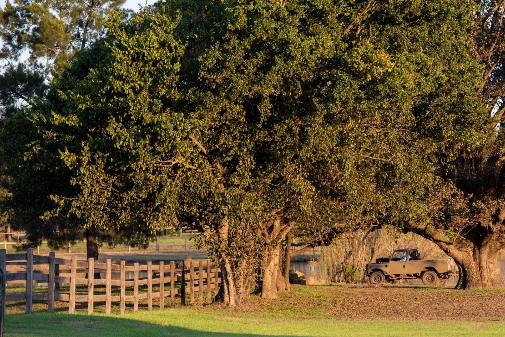 sydney-s premier polo club in an idyllic setting by the hawkesbury river image25