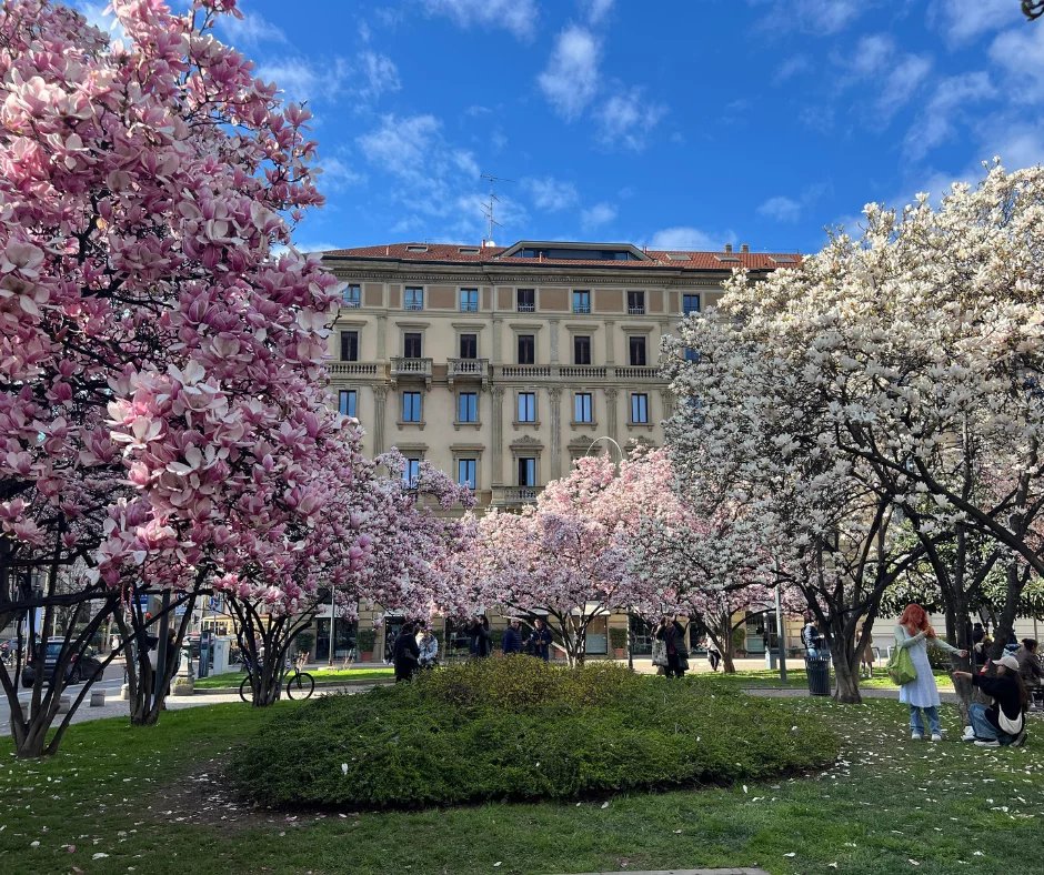 LUXURY APARTMENT IN PIAZZA TOMMASEO AND SANTA MARIA DELLE GRAZIE AREA