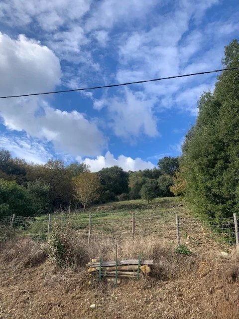 Vente Terrain constructible Talasani