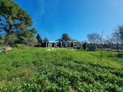BUILDING LAND 16000m² GRASSE — photo 4 of 6