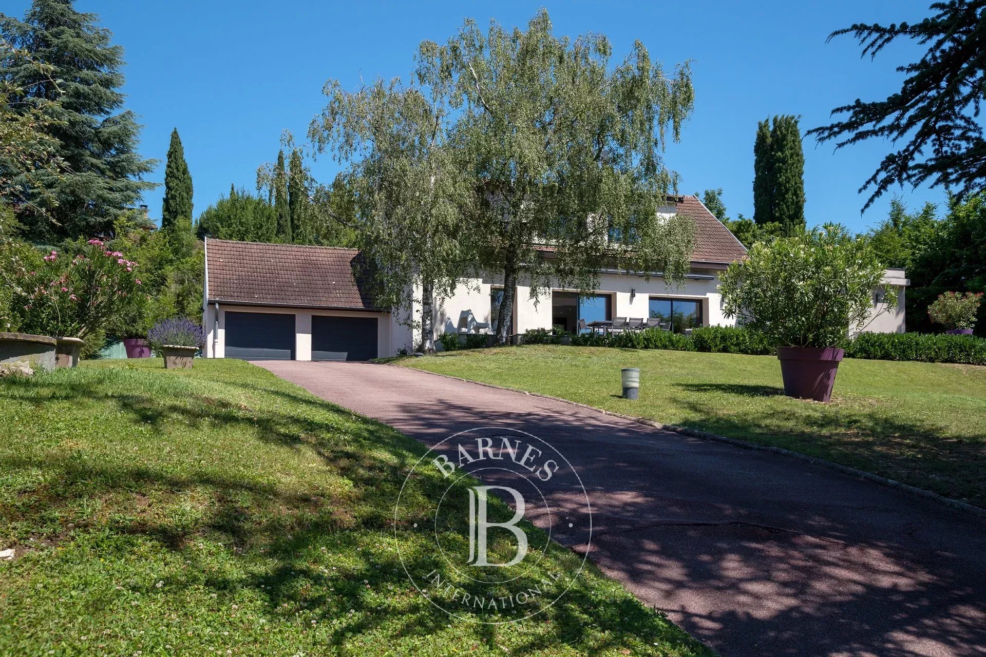 Ev Écully - picture 11