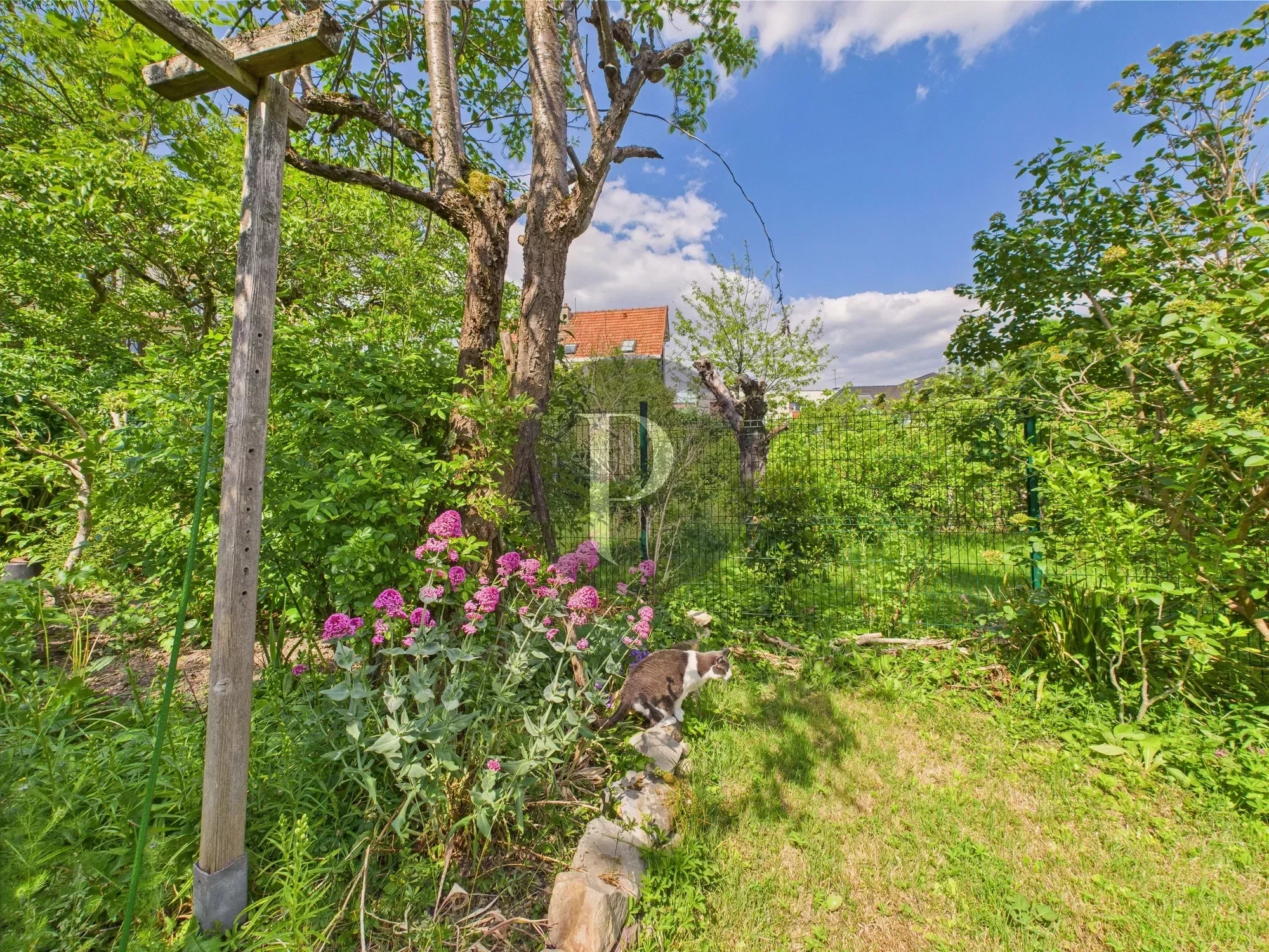 vente-maison-6-pieces-antony-92-hauts-de-seine-85853624