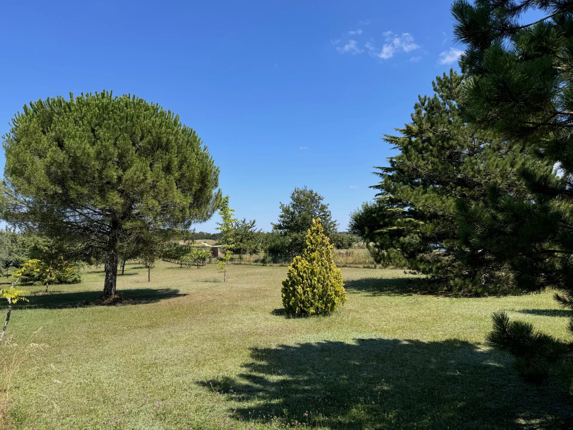 Vente Terrain constructible Sauzet