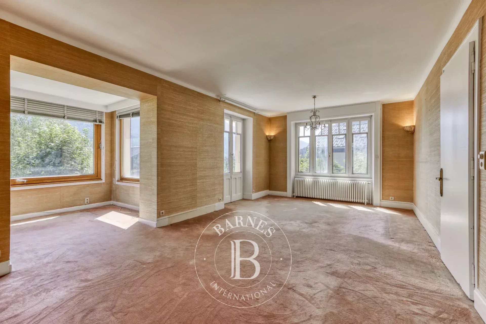 Ev Chamonix-Mont-Blanc - picture 6