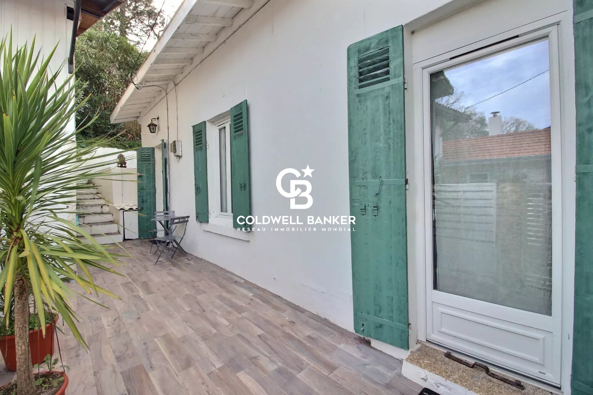 Agence immobilière de Silver Coast Int. Realty