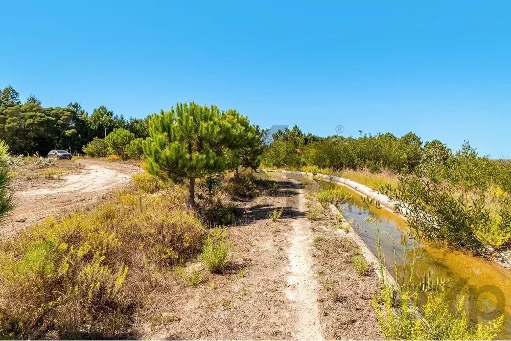 Unmissable Investment in Odemira 85507464 image 10