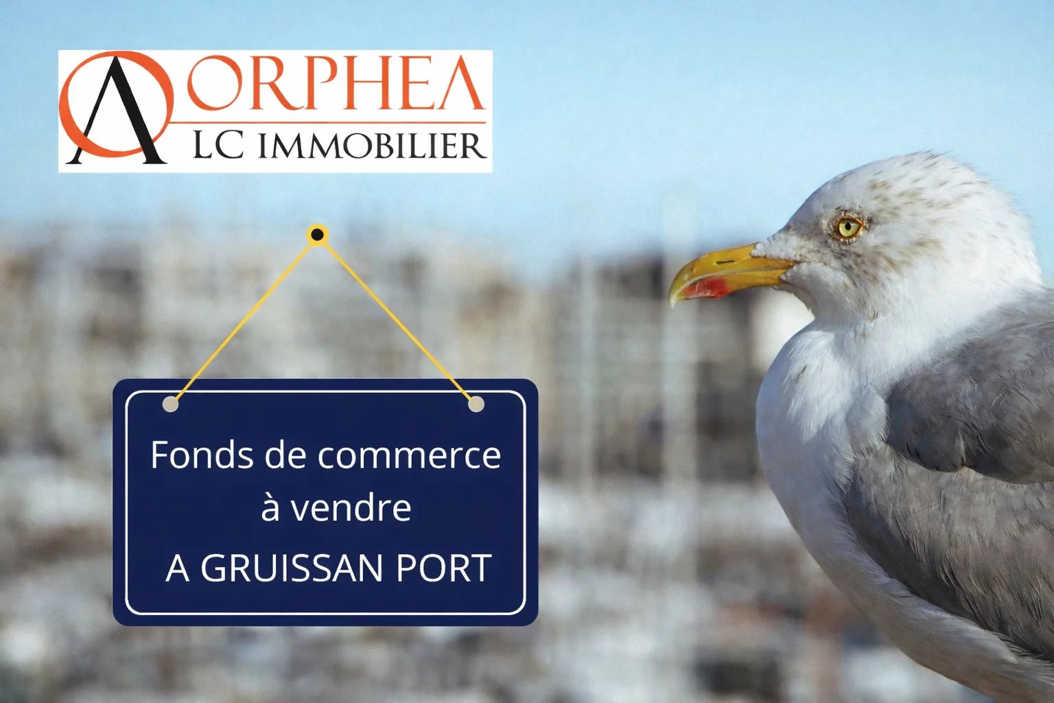 Agence immobilière de 