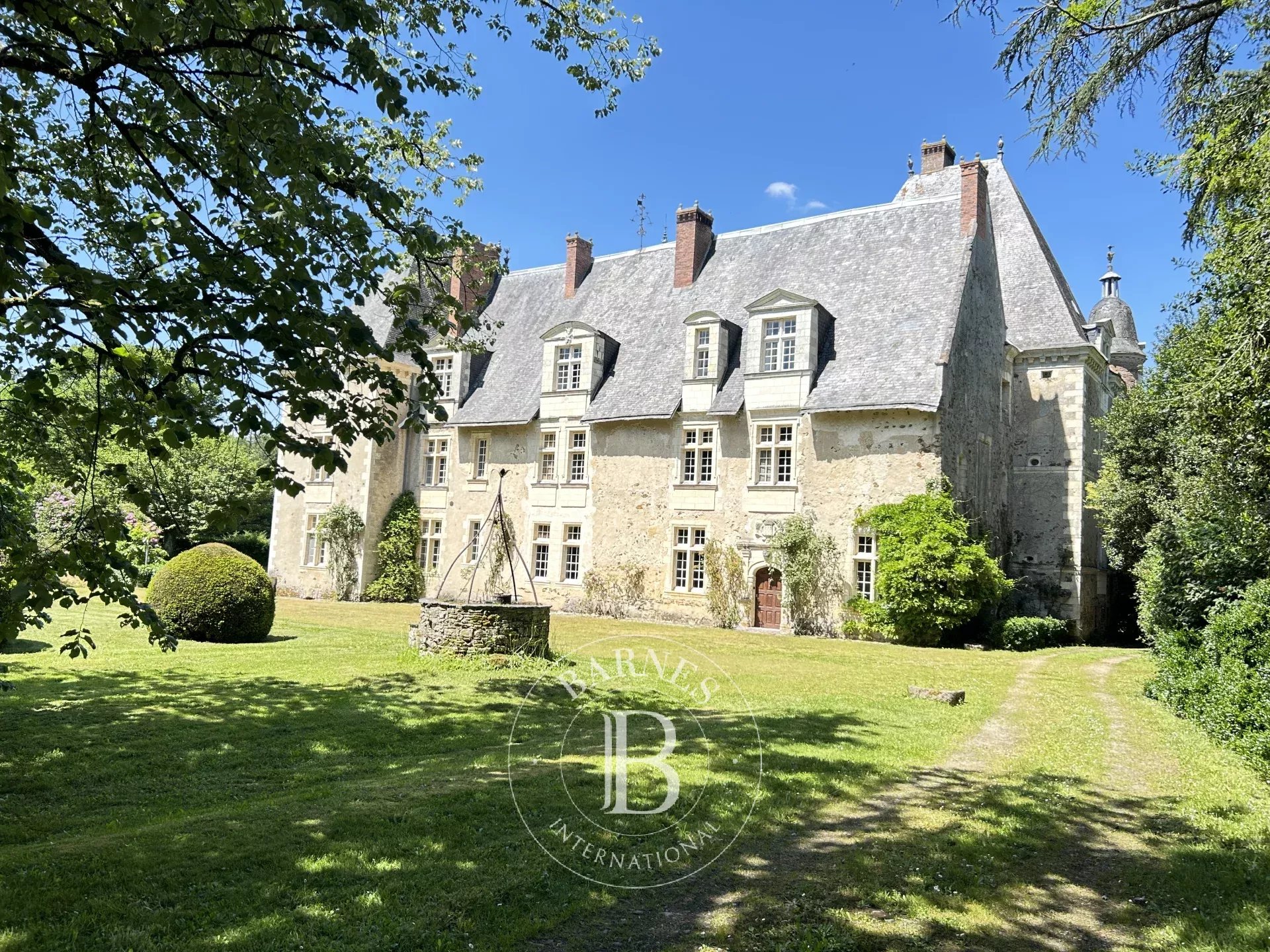 Château Chazé-sur-Argos  -  ref 86093562 (picture 3)