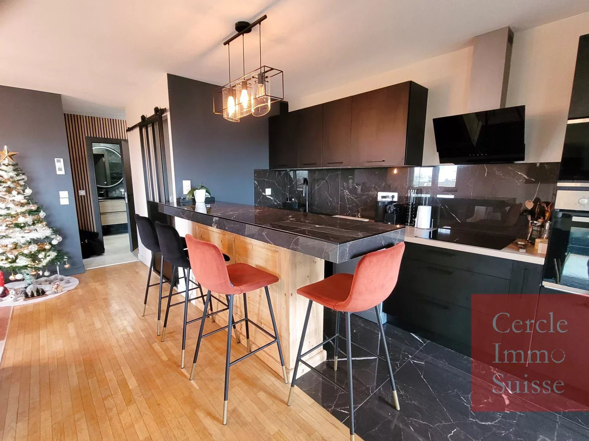 Superbe appartement de 55 m2 avec terrasse et garage à Annecy. - Photo 3