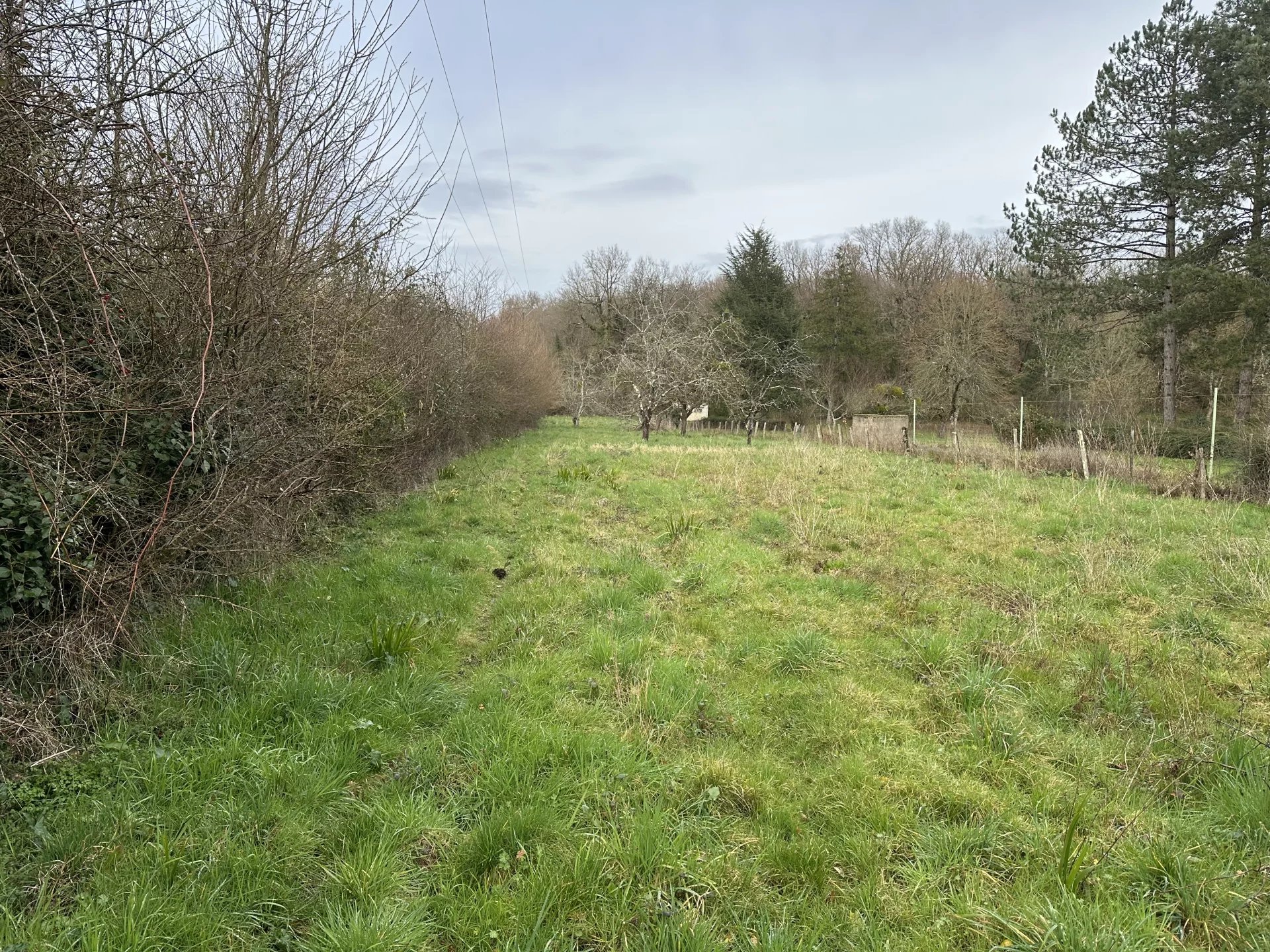 Vente Terrain constructible Magné