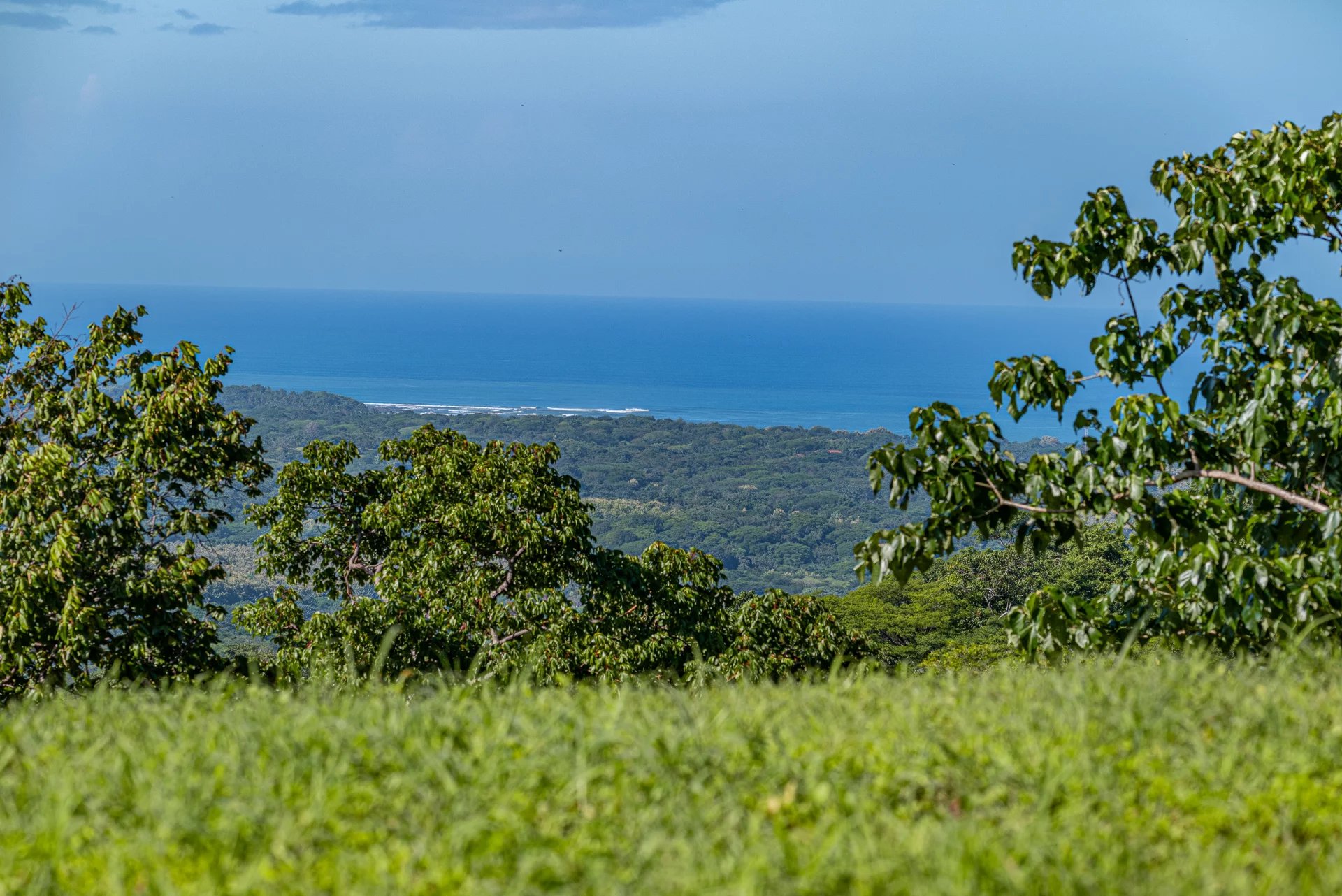 Venta Terreno Santa Cruz