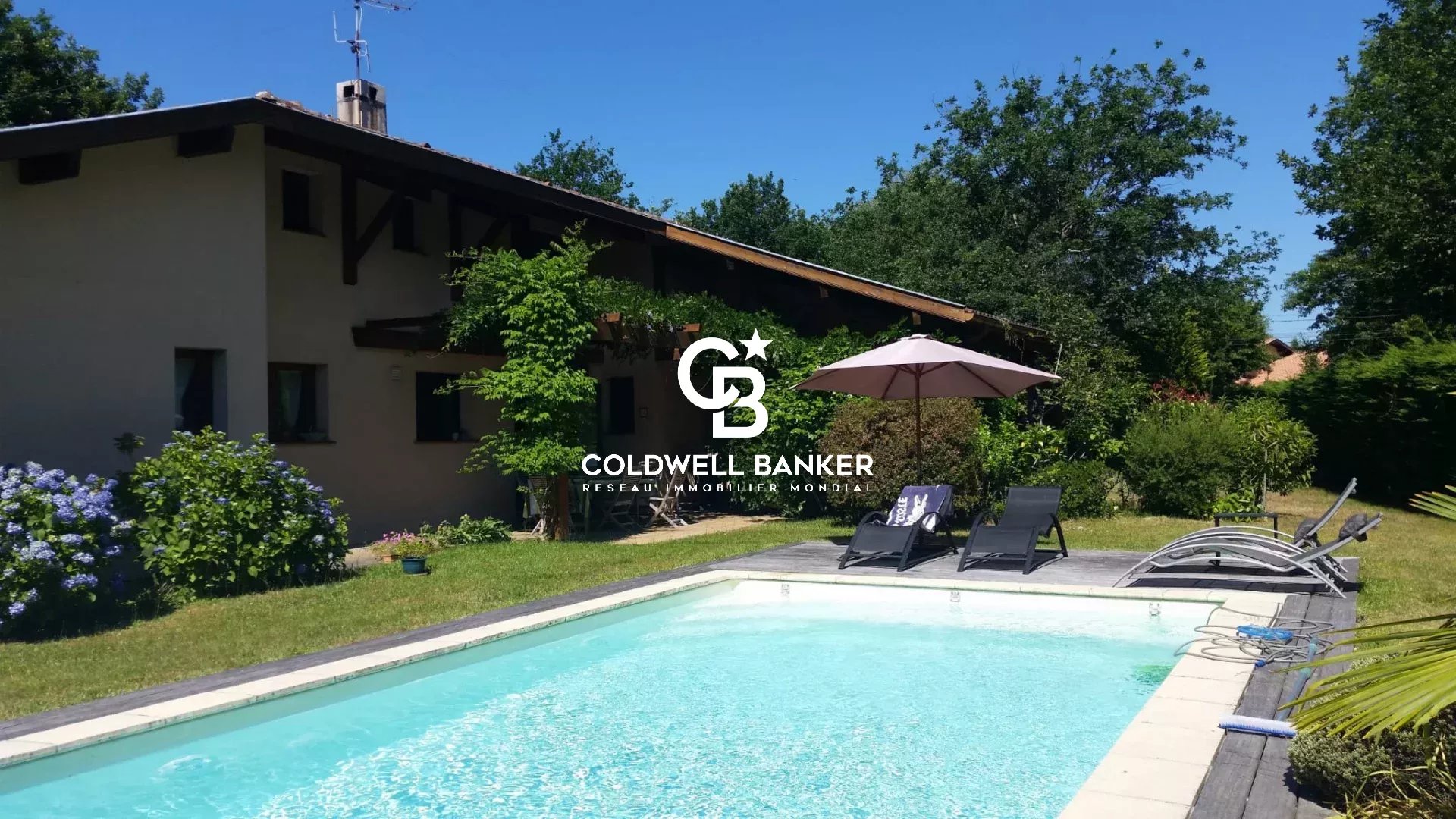 Agence immobilière de Silver Coast Int. Realty