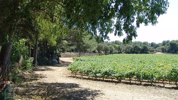 Vente Terrain Saint-Chamas