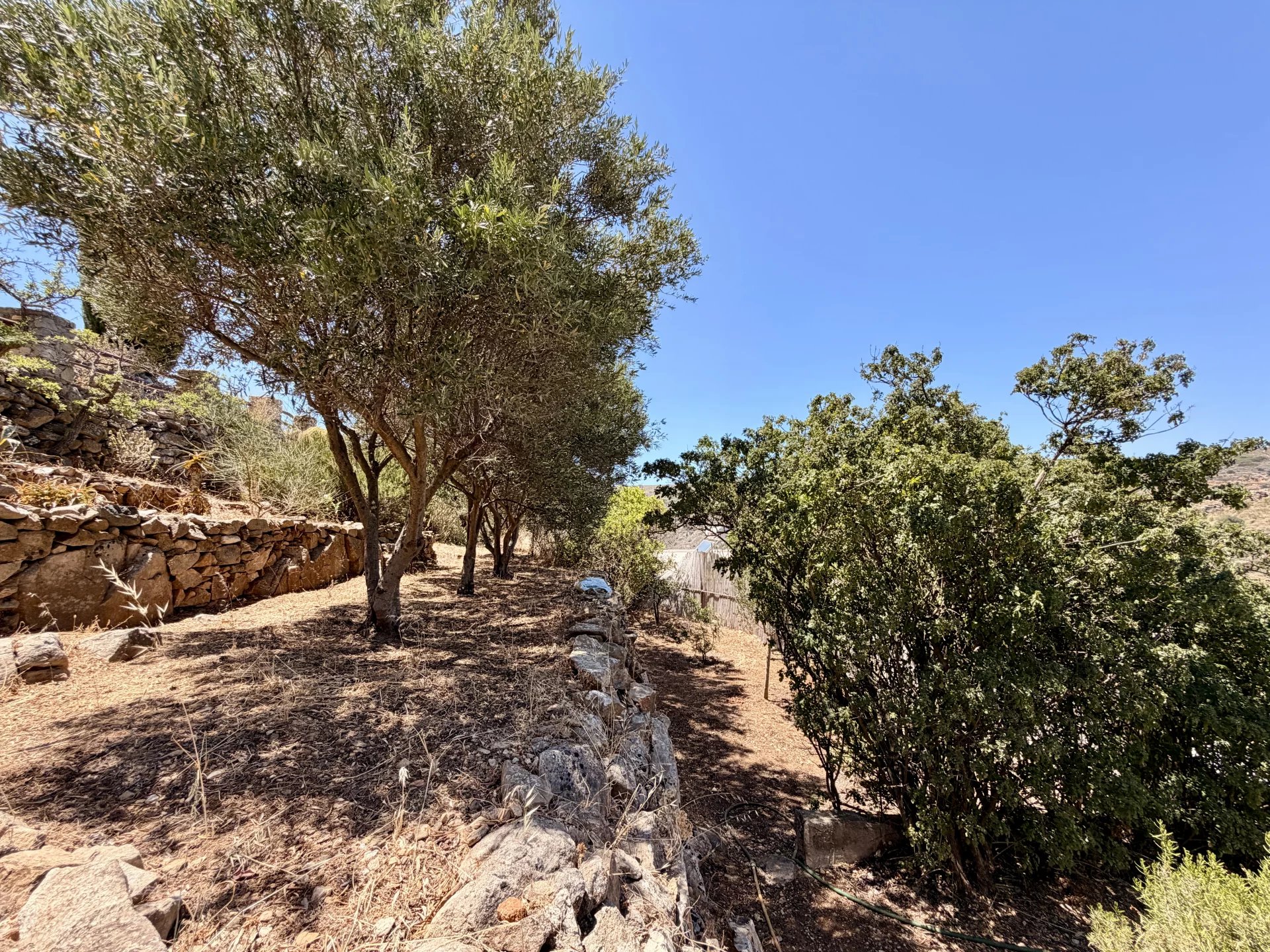 Image de la propriété 37