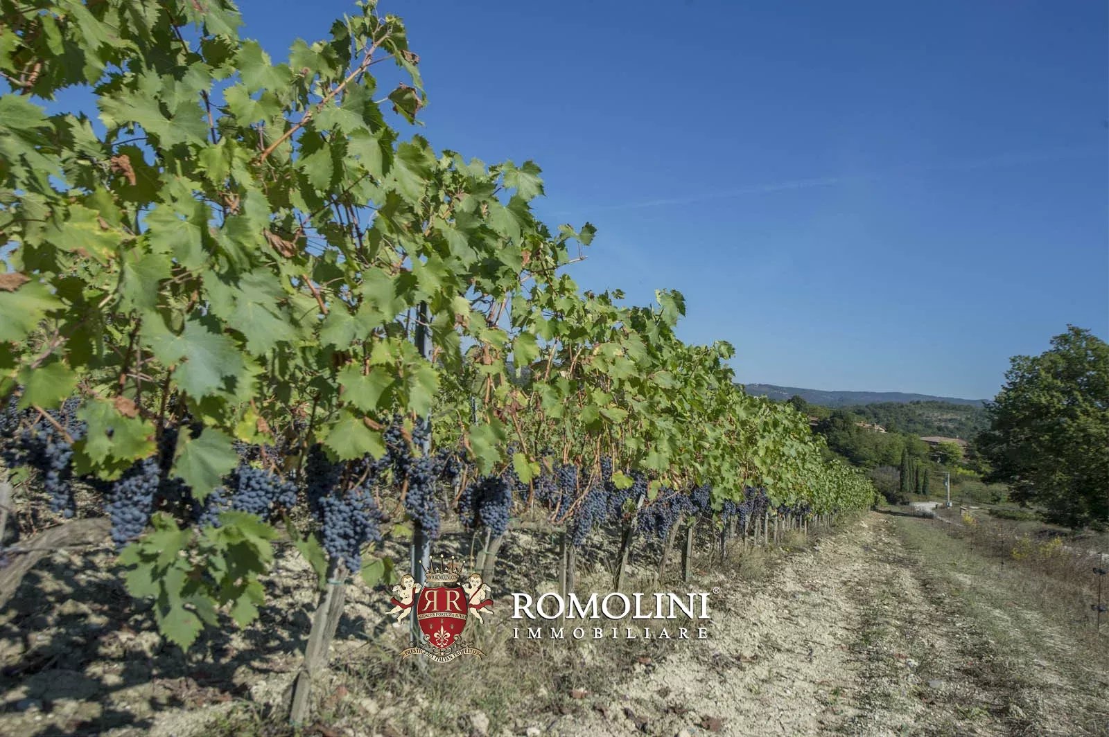 10 Bedroom Vineyard's Image 31
