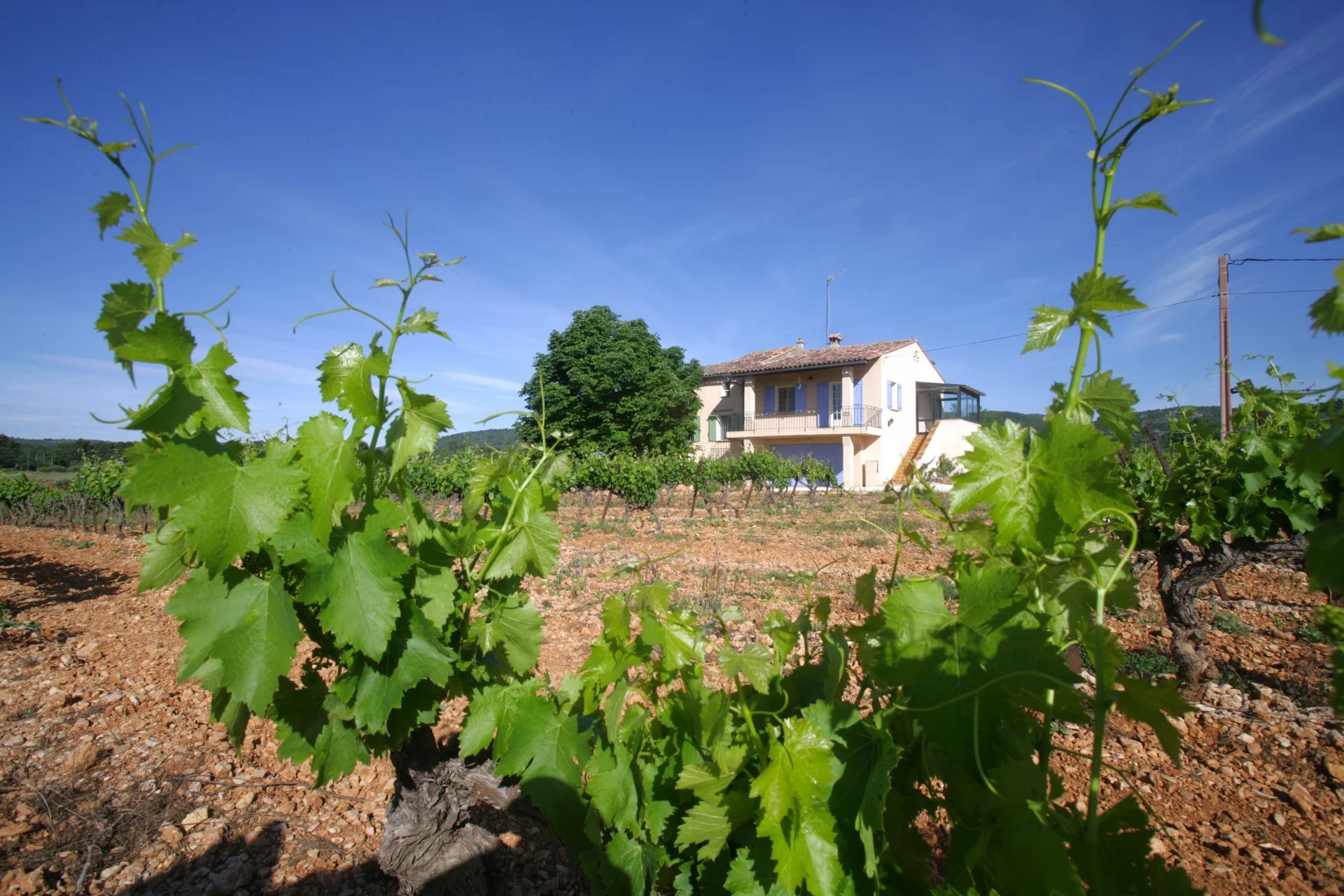 Propriété sur environ 5ha de vignes COTIGNAC