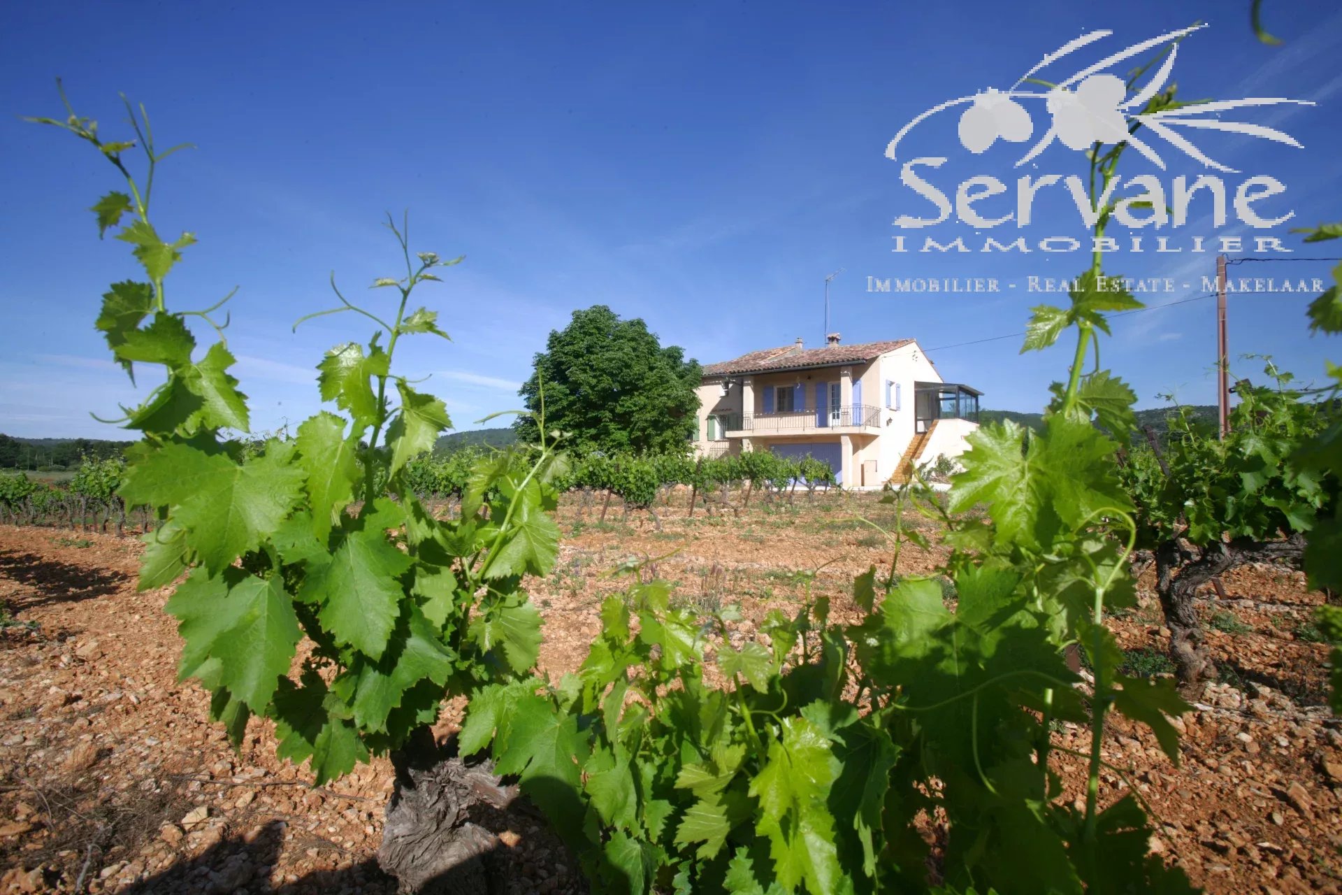 VINES PROPERTY FOR SALE IN COTIGNAC