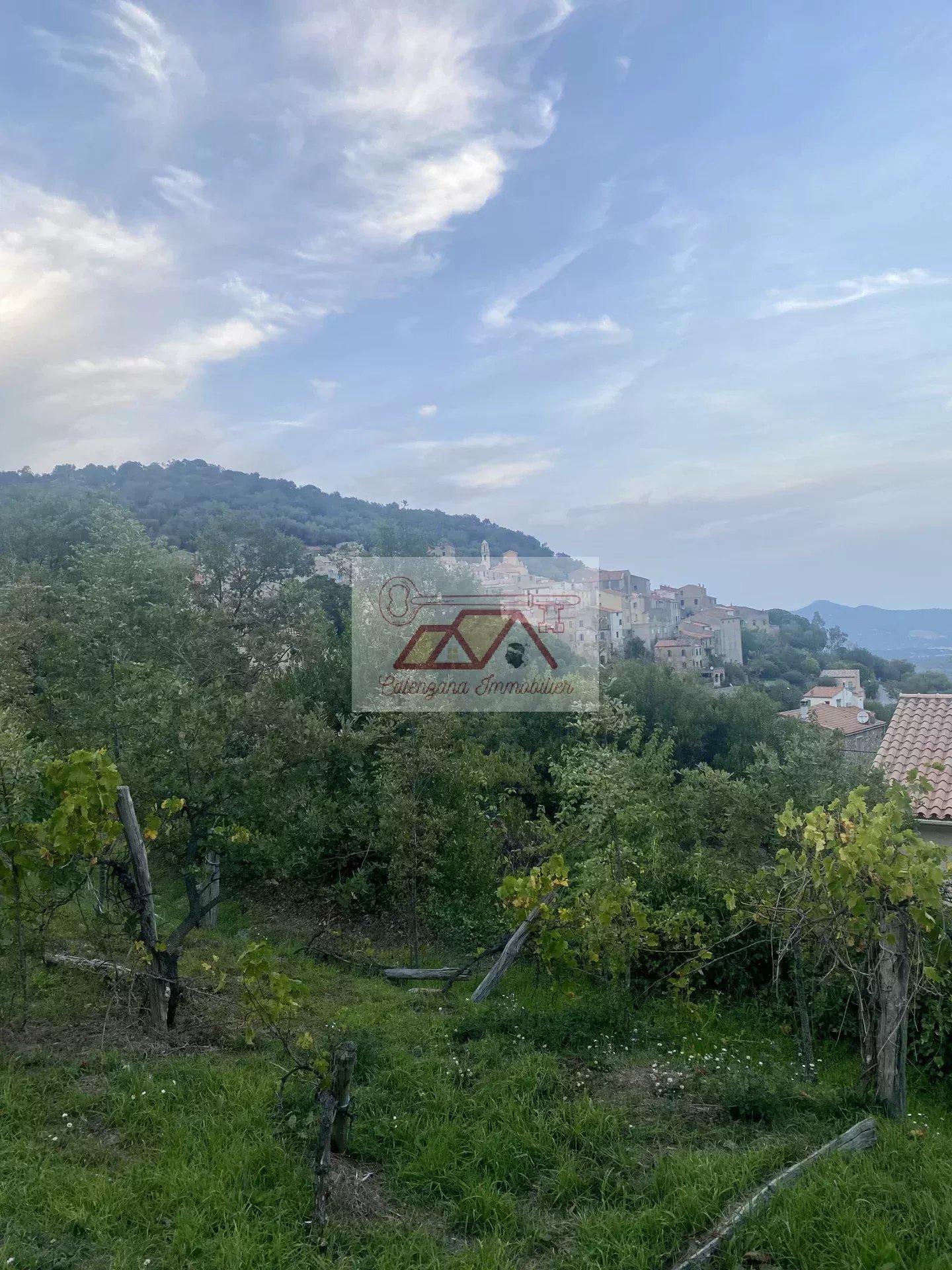 Vente Terrain constructible Muro