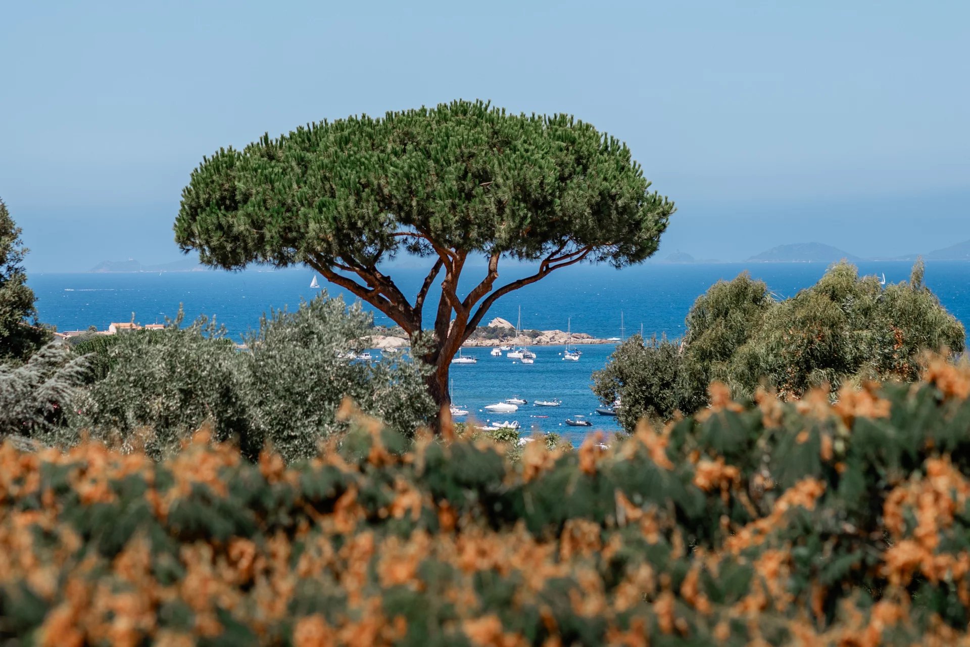 Demeure d’Exception – Proche Plage