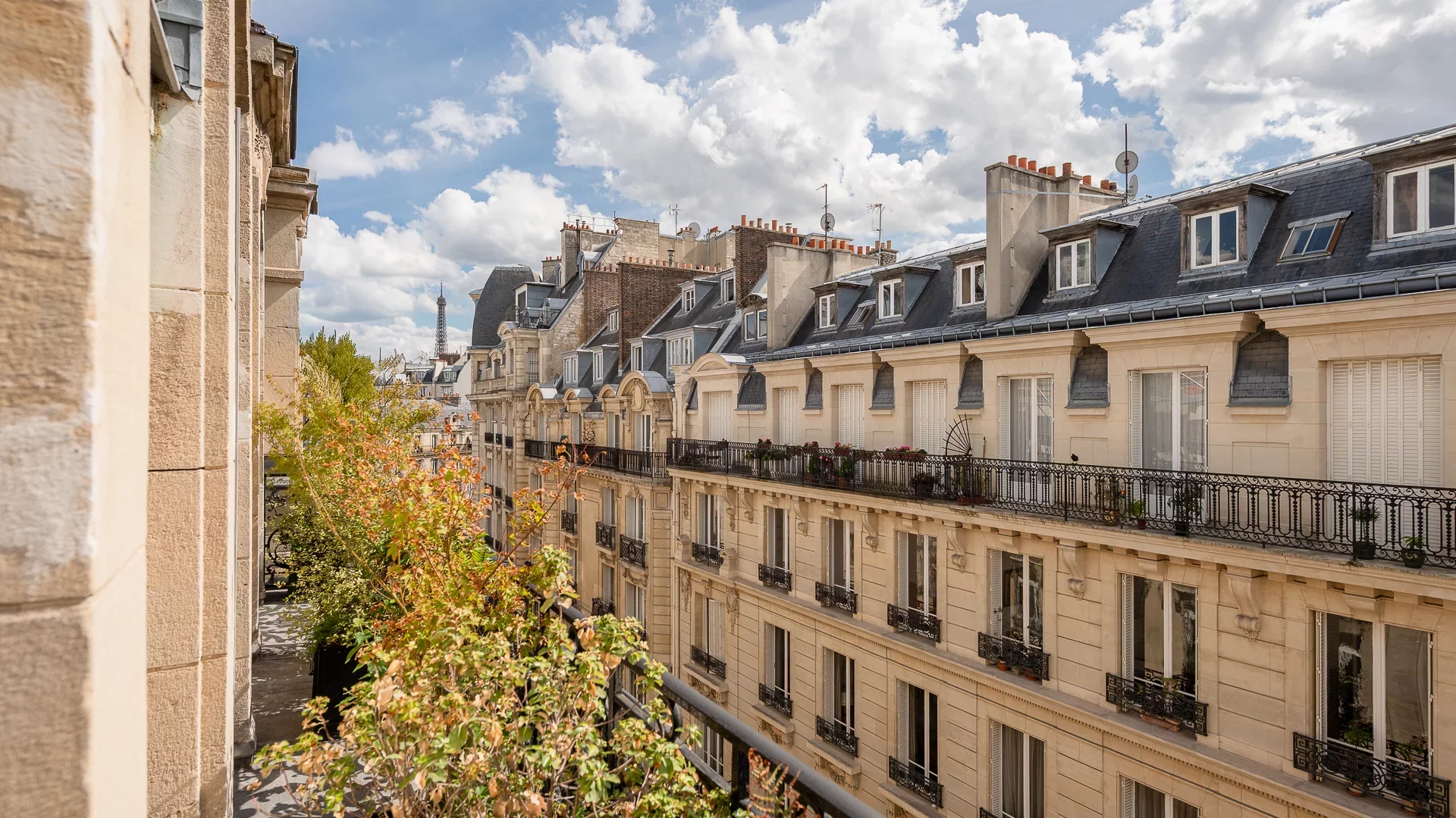 Paris 16e - MUETTE / OCDE