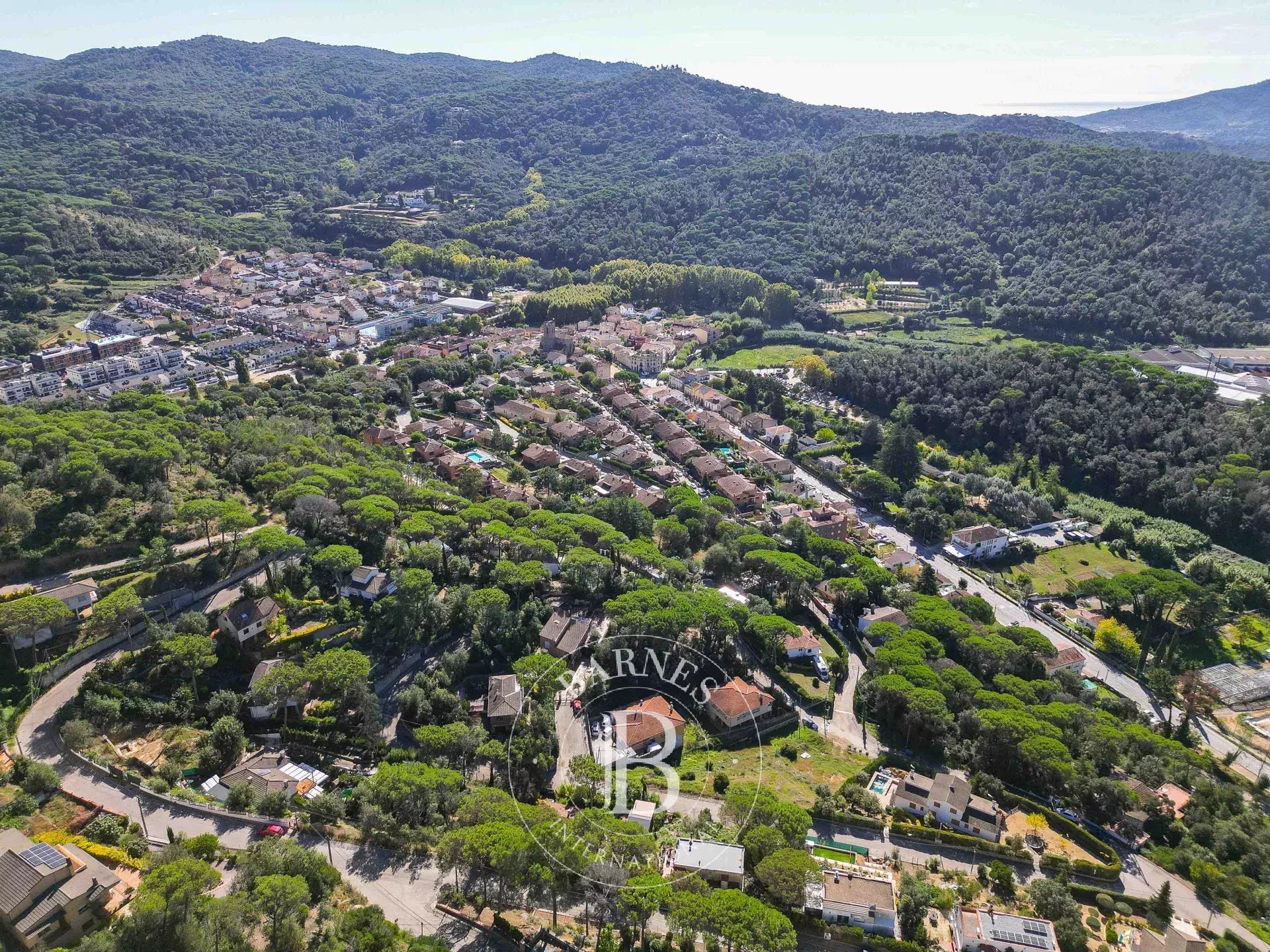 Arazi Dosríus - picture 34