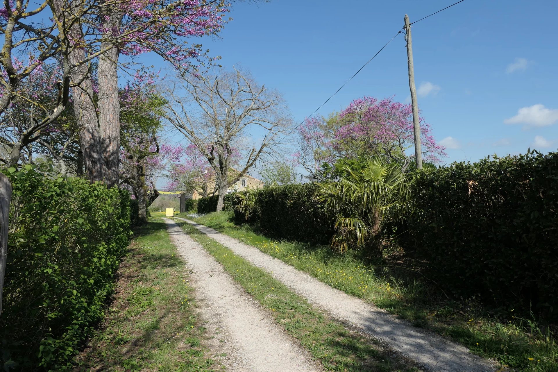 FERME LAURAGAISE SUR 1,3 HECTARES