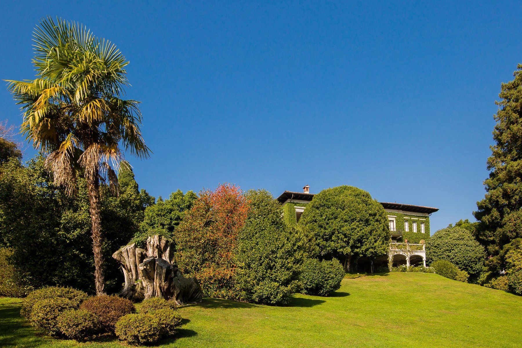 A Verbania Lac Majeur Prestigieuse villa d'époque avec parc séculaire et piscine