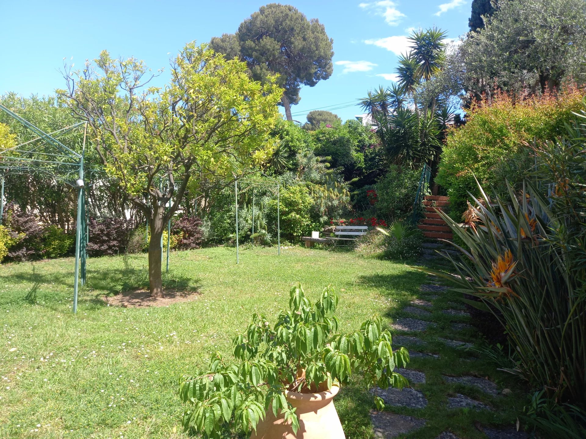Sale Villa Roquebrune-Cap-Martin