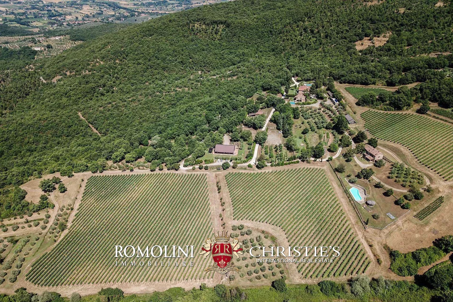 16 Bedroom Vineyard's Image 21