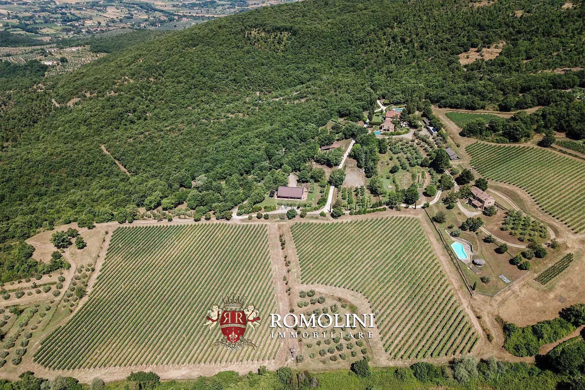 16 Bedroom Vineyard's Image 21
