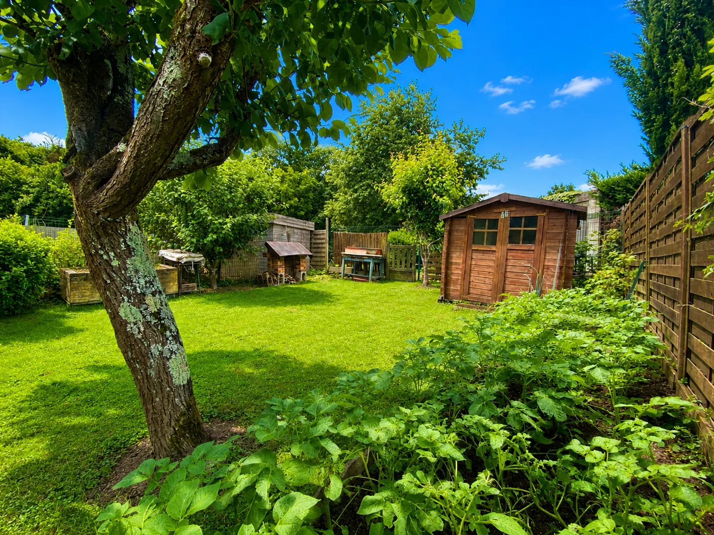 Vente Appartement Émerainville