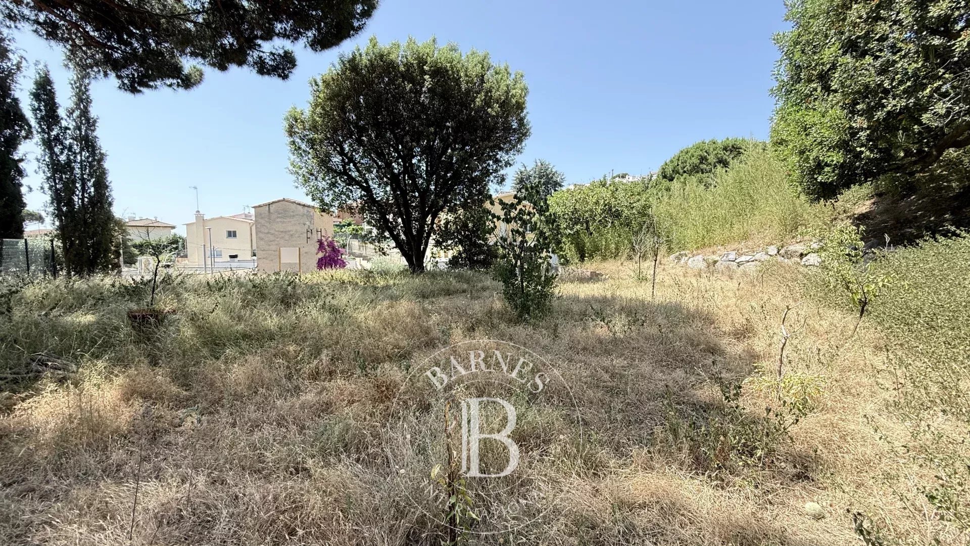 Arazi Premia de Dalt - picture 7