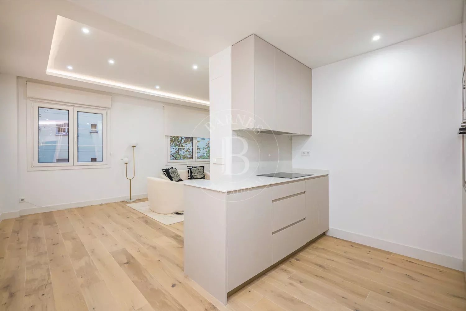 Daire Madrid - picture 8