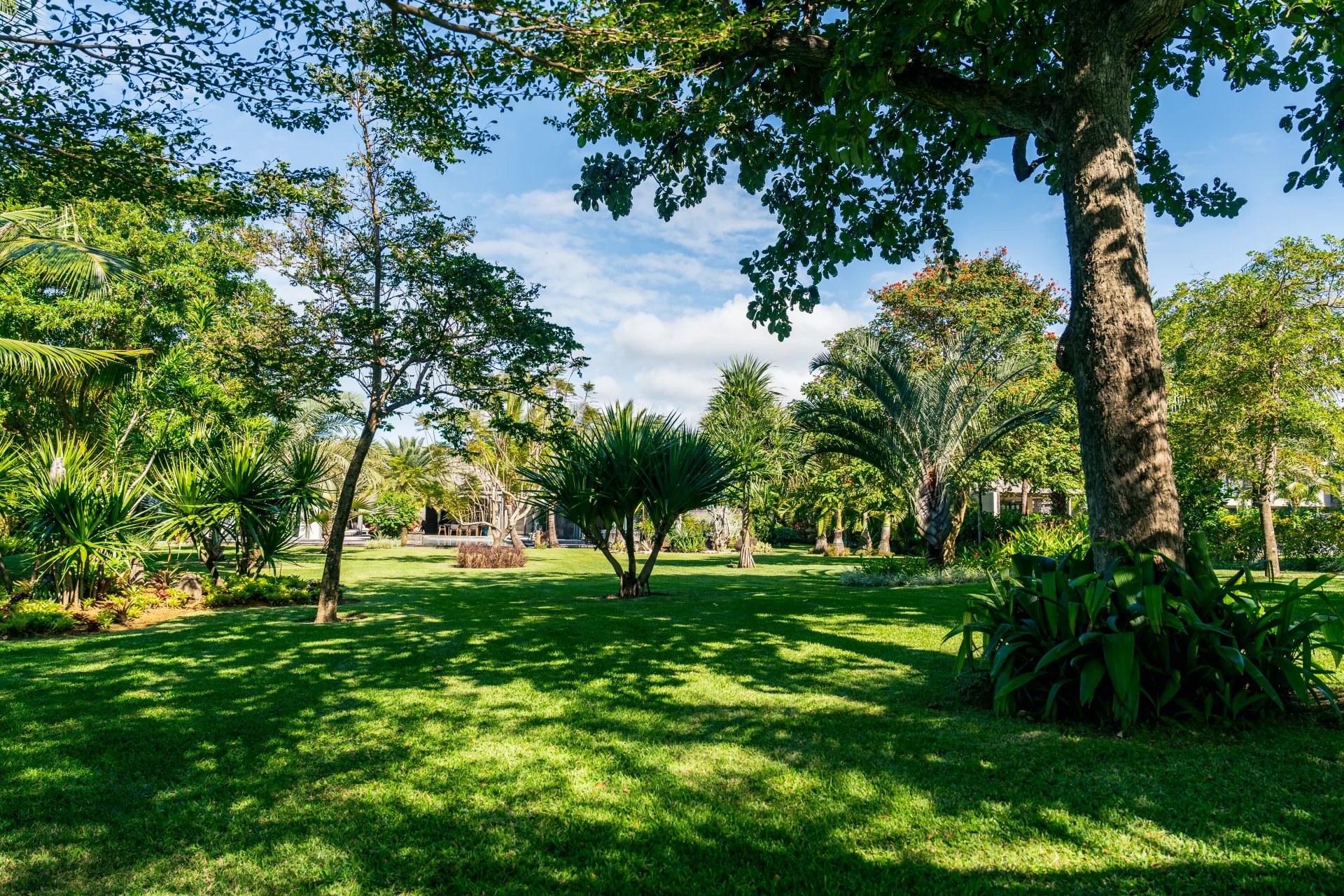 Villa Beau Champ - picture 20