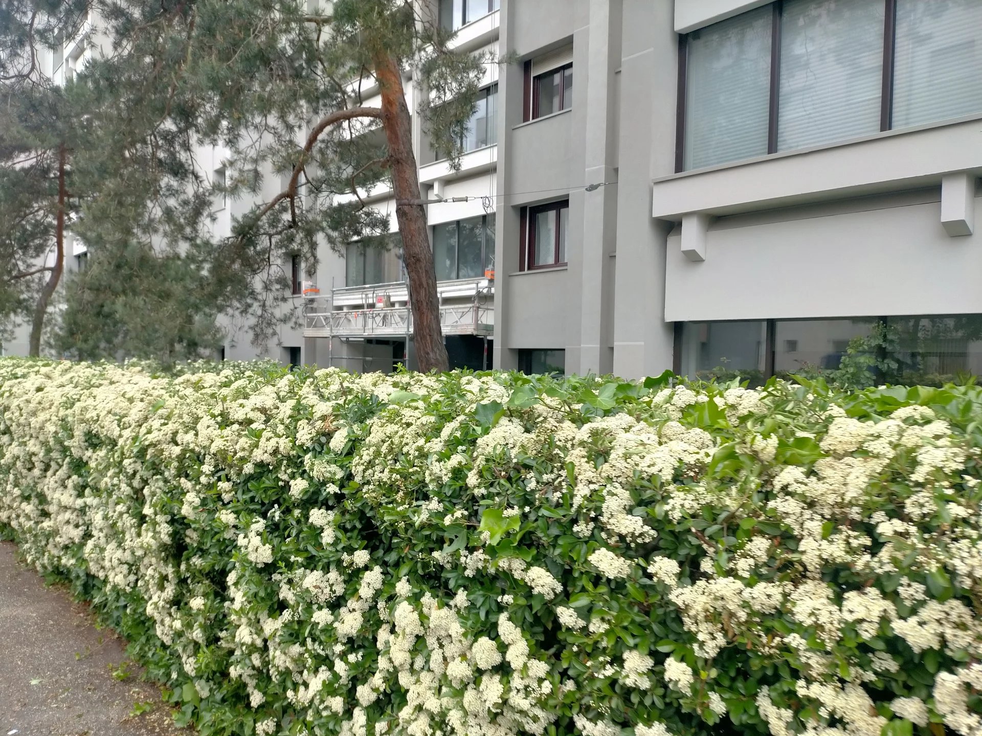 82491351 Location Villeurbanne