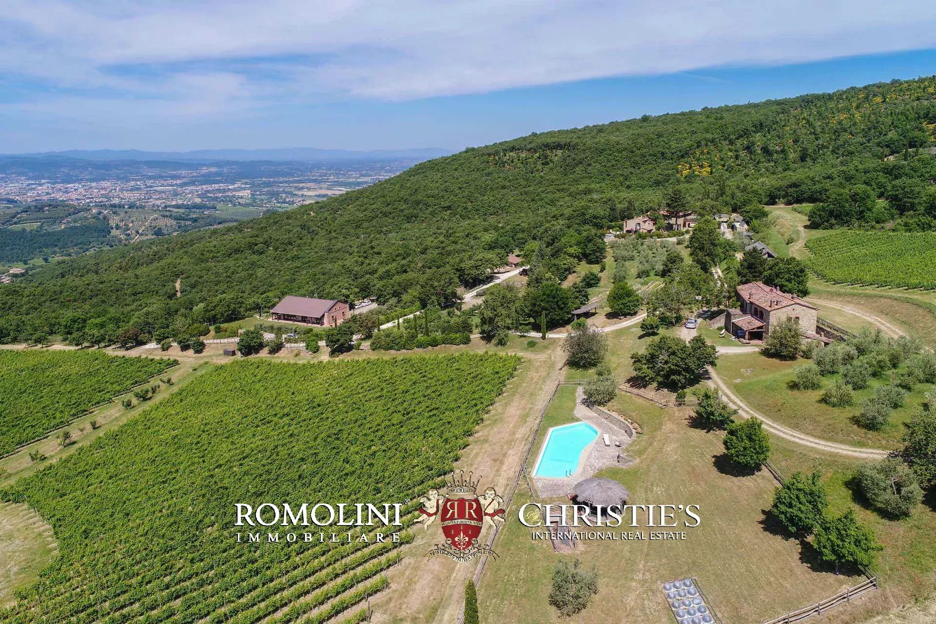 TENUTA VINICOLA BIOLOGICA IN VENDITA, CANTINA BIO TOSCANA