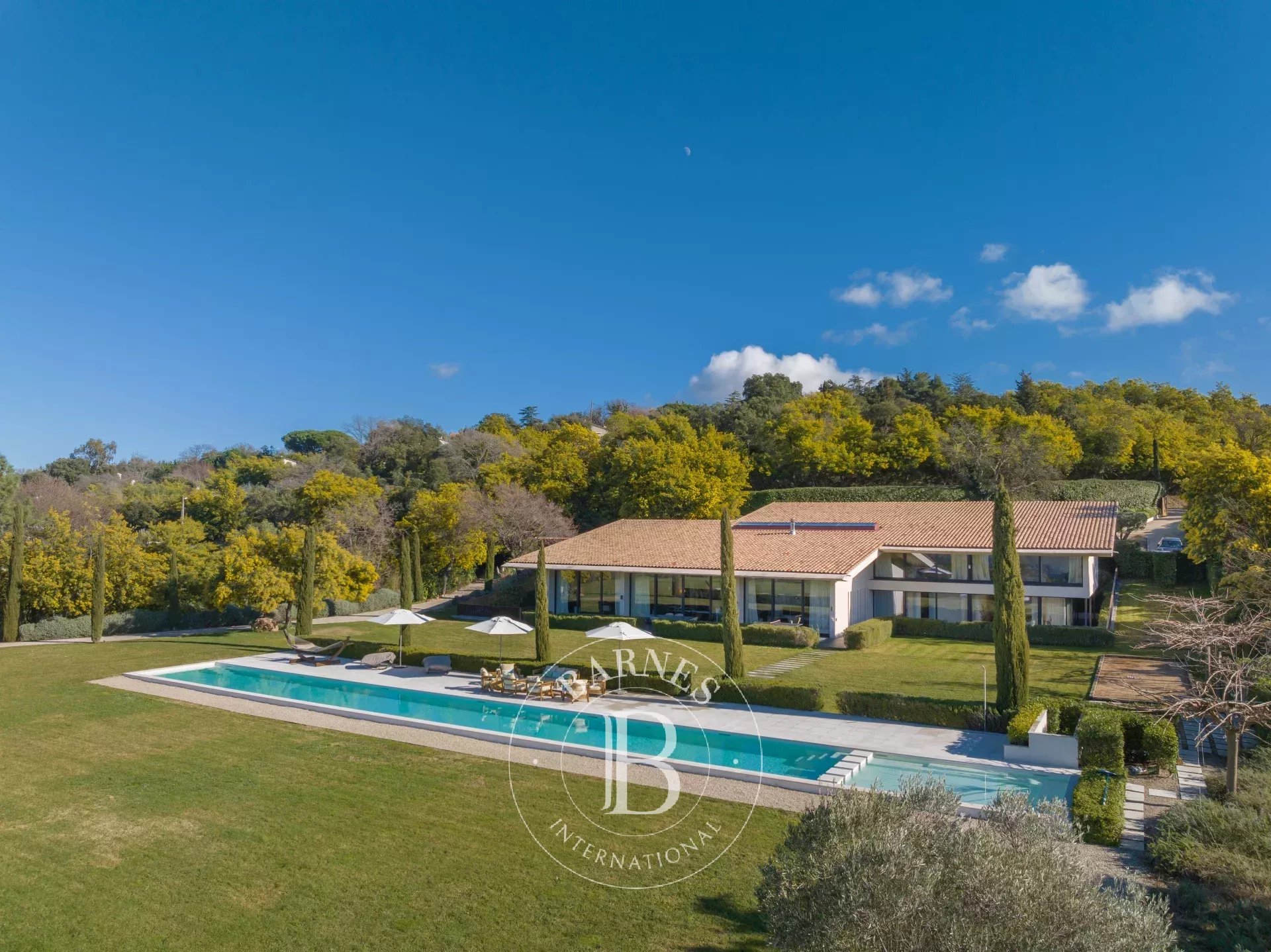 Villa Mandelieu-la-Napoule  -  ref 86648041 (picture 2)