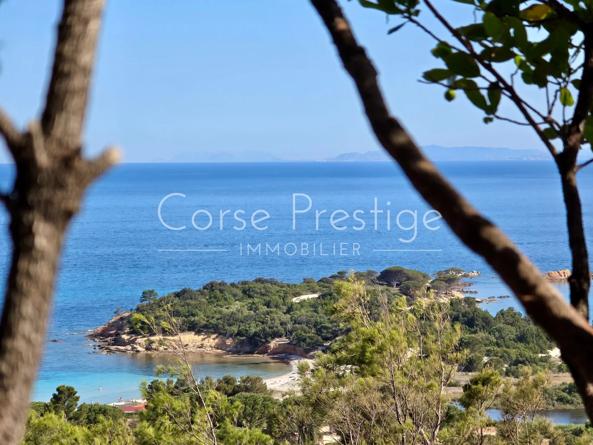 villa for sale in palombaggia - porto-vecchio - panoramic views image1