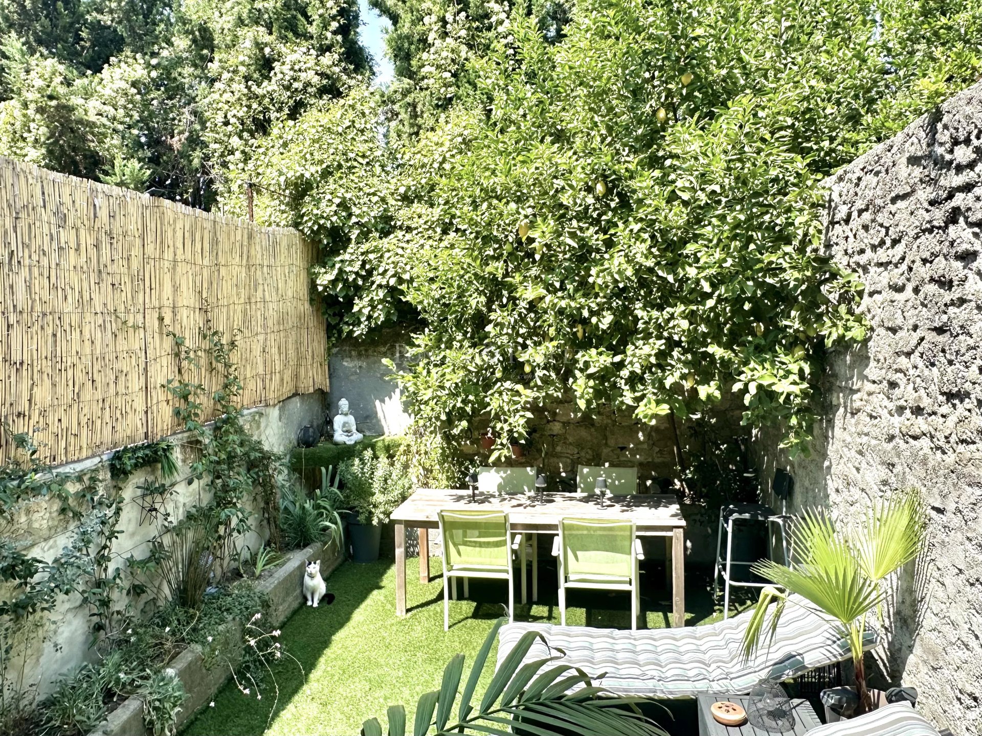 Property Slider Image