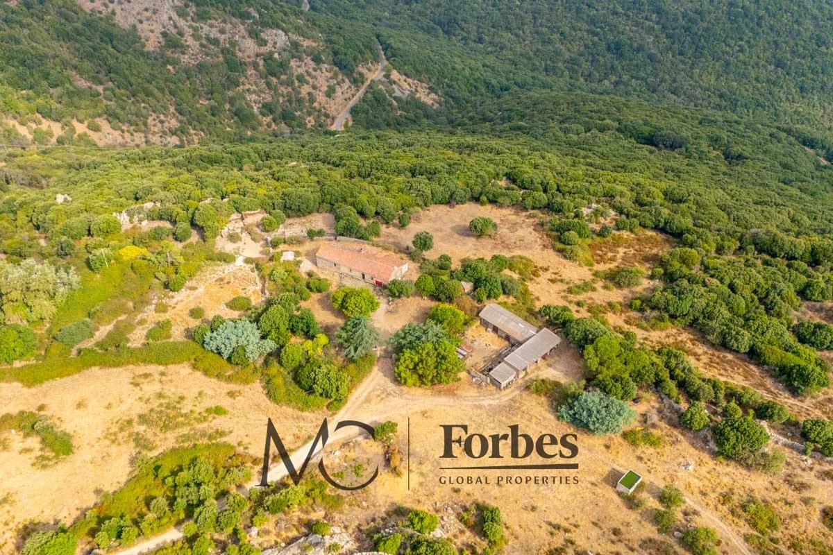 Land in Luras - view 1
