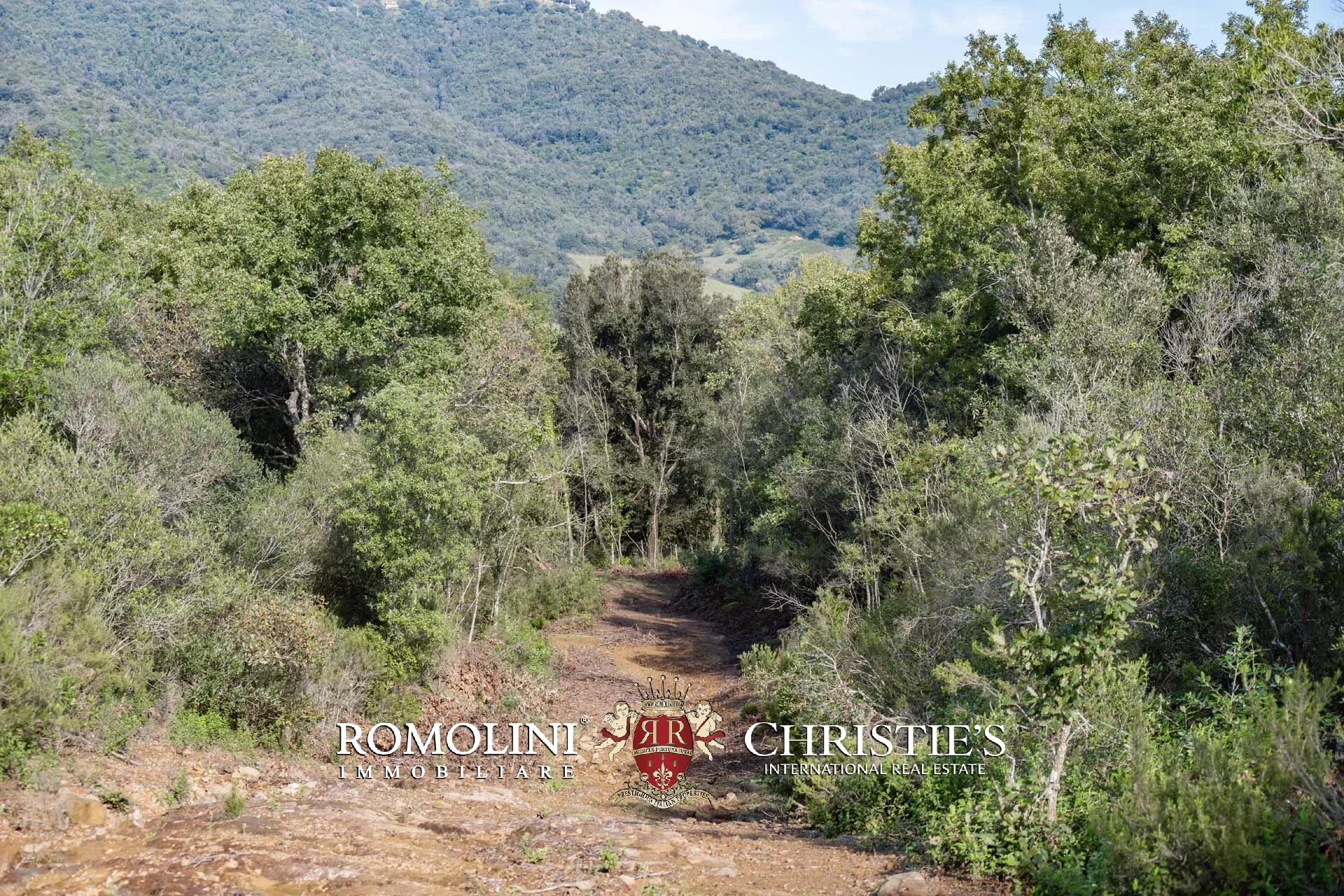 324-HA HUNTING RESERVE WITH DEVELOPMENT PROJECT FOR SALE IN MAREMMA, TUSCAN COAST
