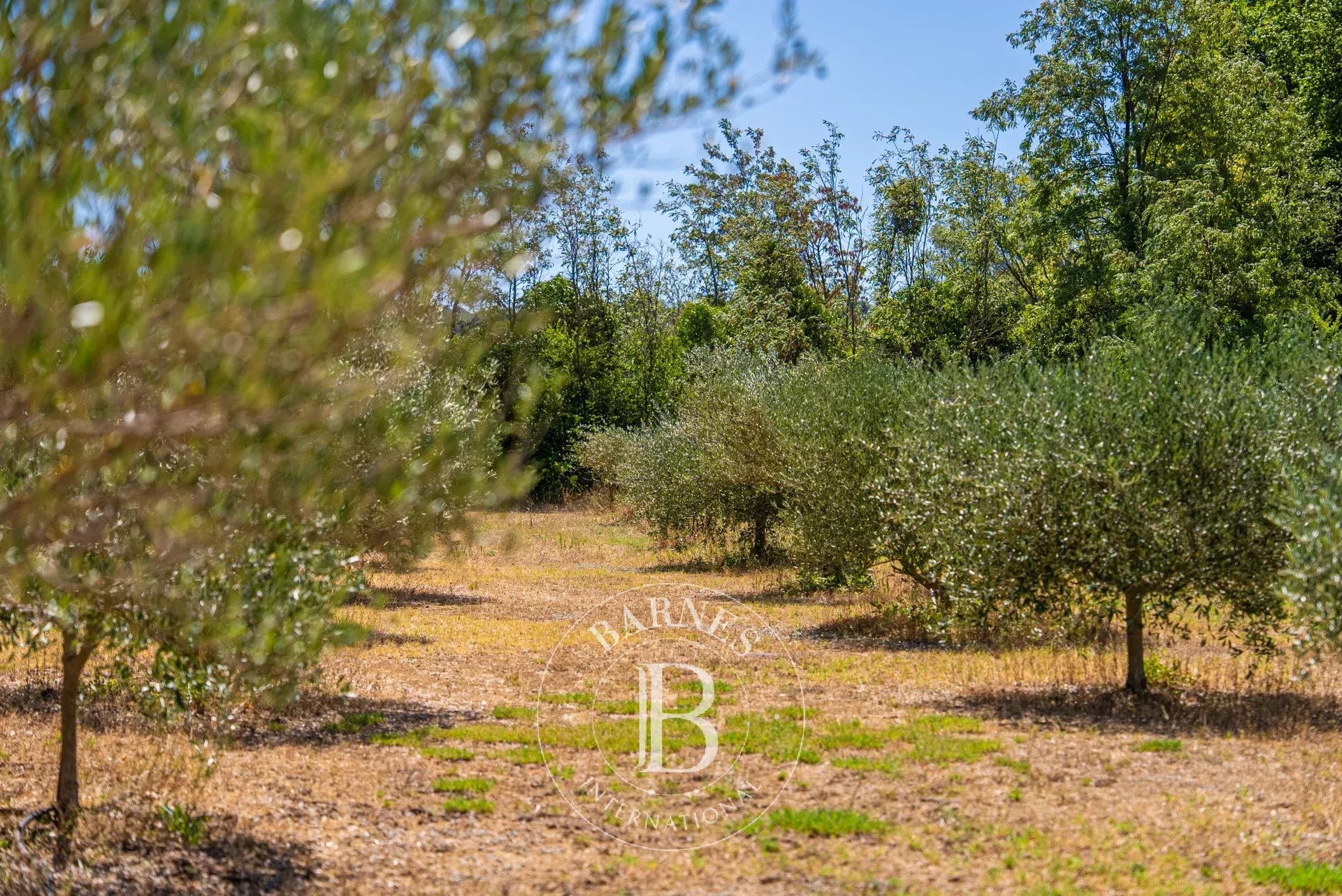 Mülkiyet La Tour-d'Aigues - picture 27