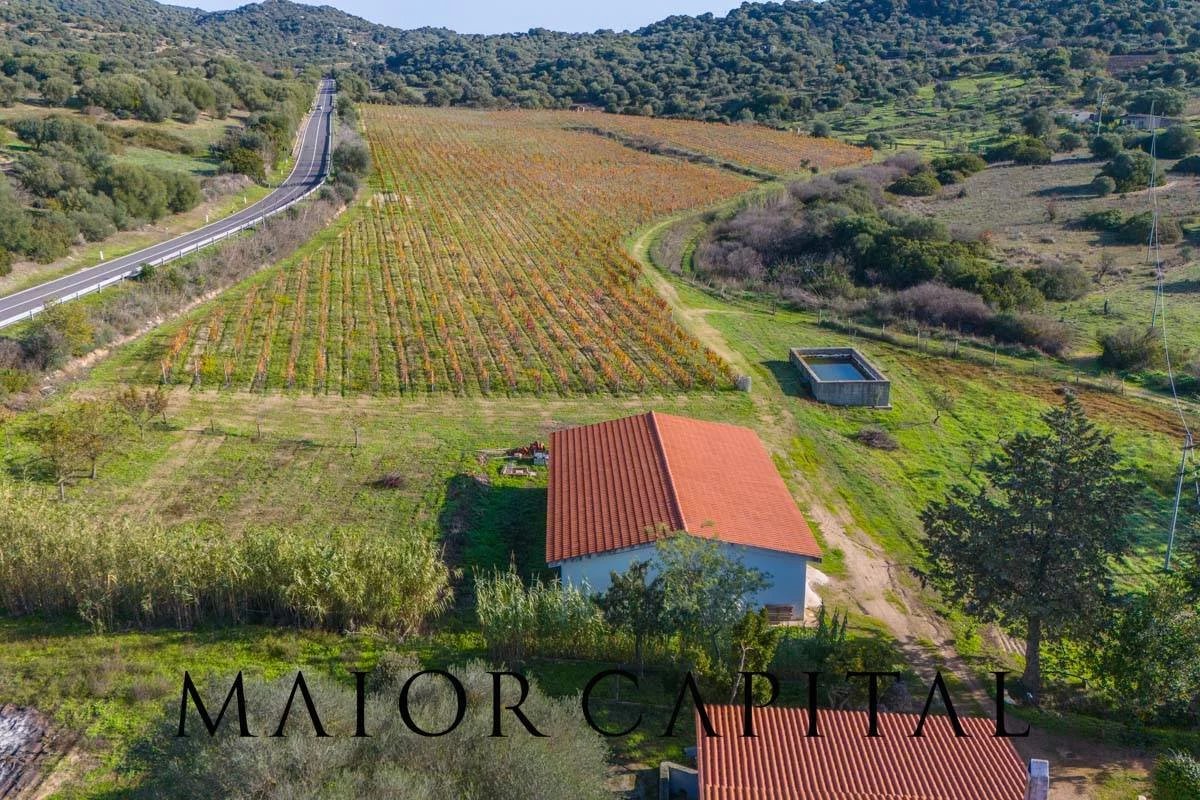 Oliena | Azienda vitivinicola con 10 ettari di terreno