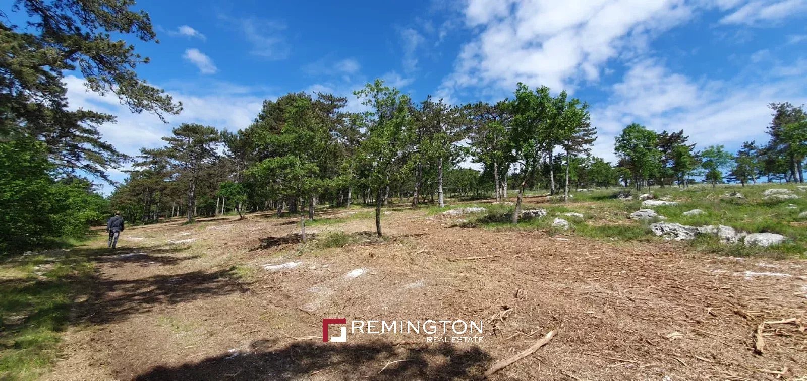 Land/Vacant Land's Image 12