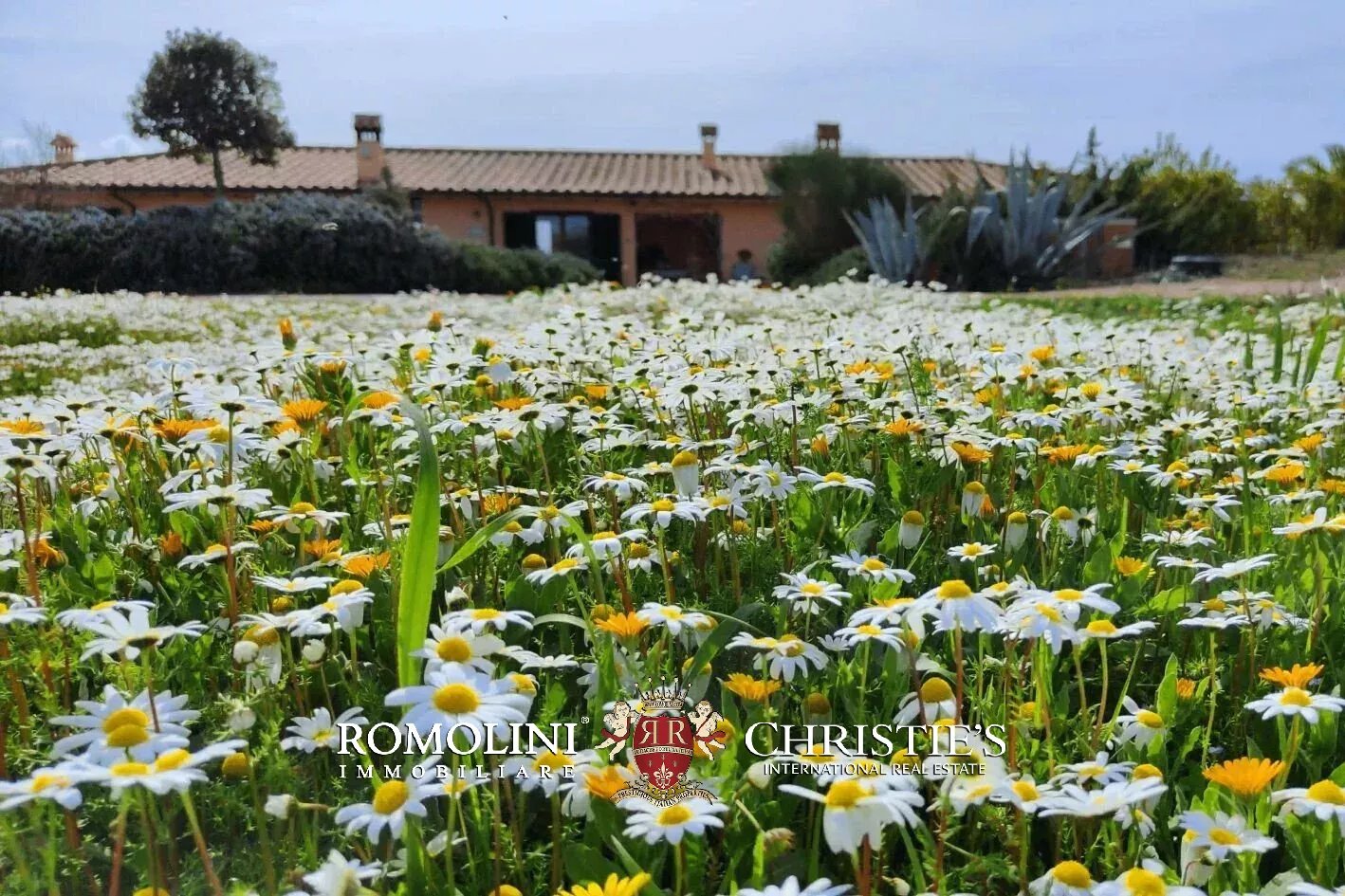 3 Bedroom Vineyard's Image 34
